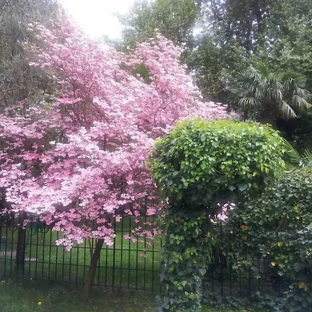 Hotel Juliane Merano