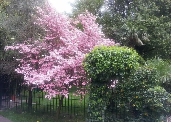 Hotel Juliane Merano