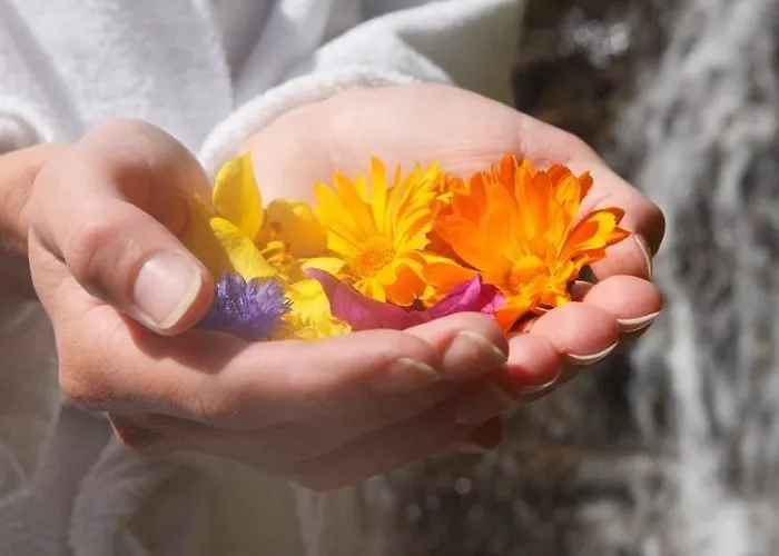 Hotell Juliane Merano